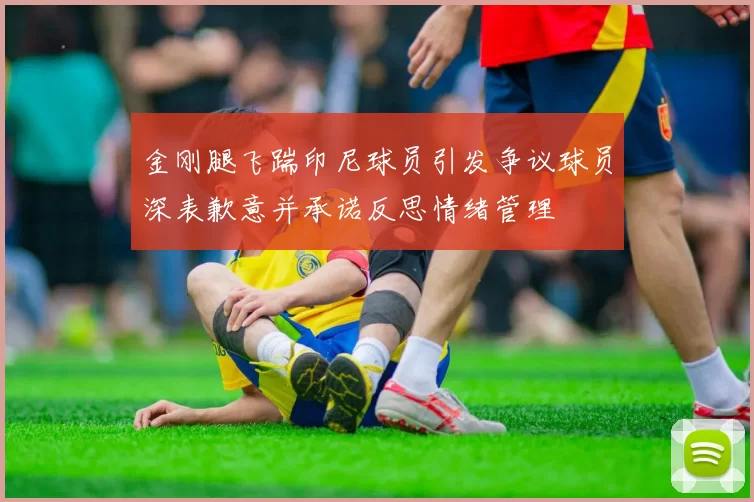 金刚腿飞踹印尼球员引发争议球员深表歉意并承诺反思情绪管理