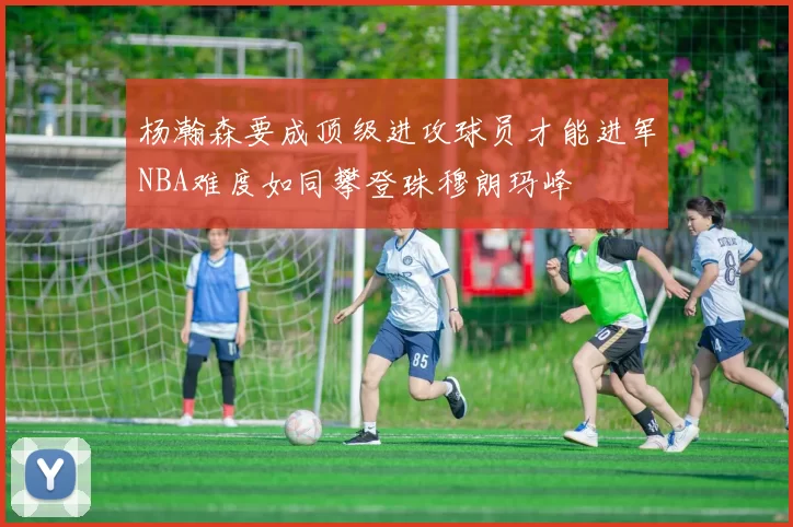杨瀚森要成顶级进攻球员才能进军NBA难度如同攀登珠穆朗玛峰