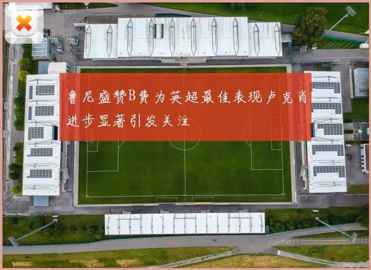 鲁尼盛赞B费为英超最佳表现卢克肖进步显著引发关注